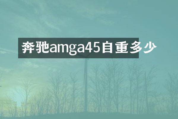 奔驰amga45自重多少