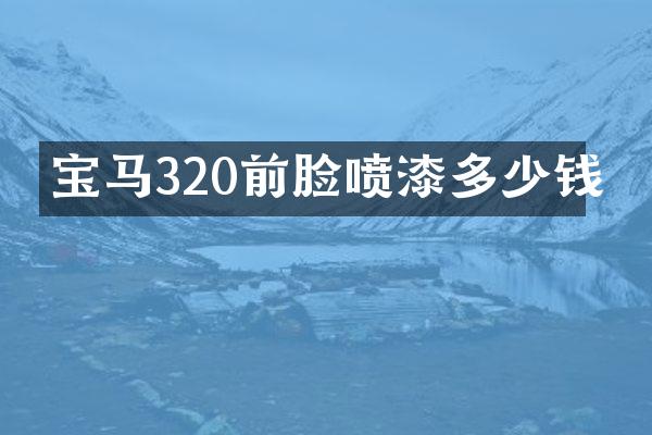 宝马320前脸喷漆多少钱