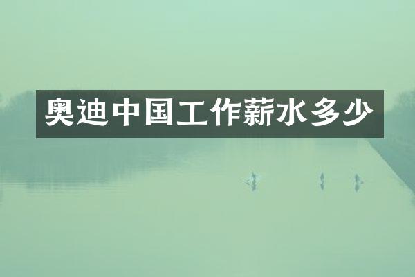 奥迪中国工作薪水多少