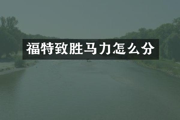 福特致胜马力怎么分