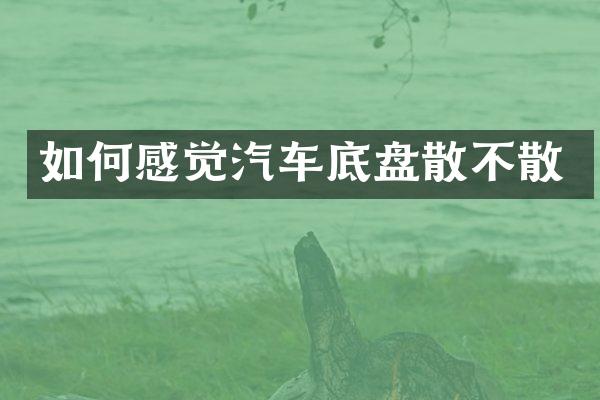如何感觉汽车底盘散不散