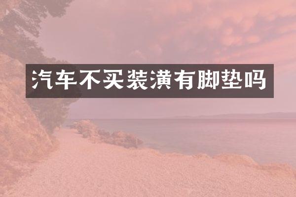 汽车不买装潢有脚垫吗