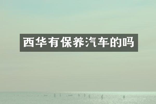 西华有保养汽车的吗