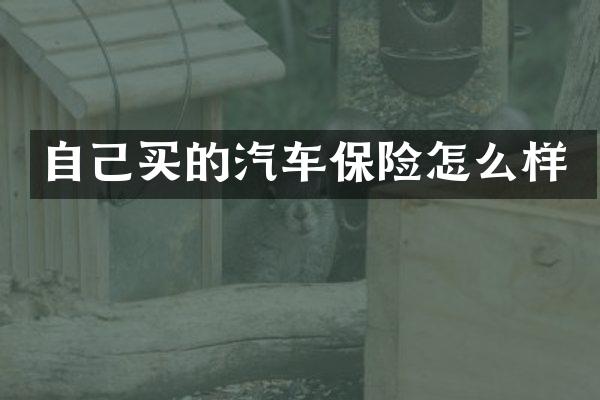 自己买的汽车保险怎么样
