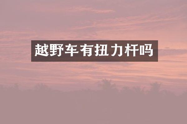越野车有扭力杆吗