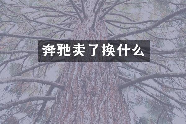 奔驰卖了换什么