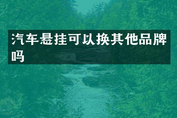 汽车悬挂可以换其他品牌吗