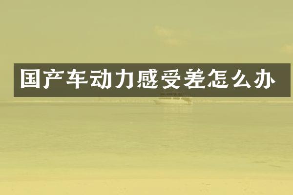 国产车动力感受差怎么办
