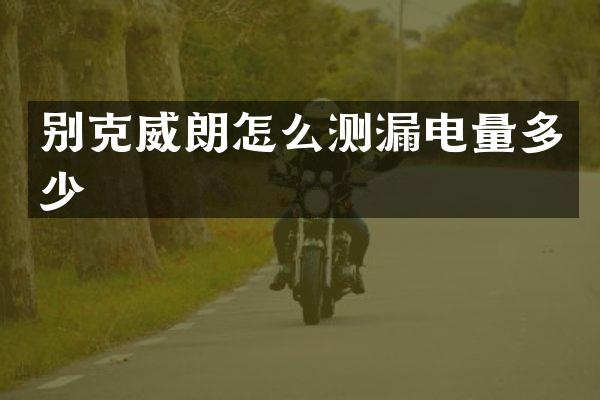 别克威朗怎么测漏电量多少