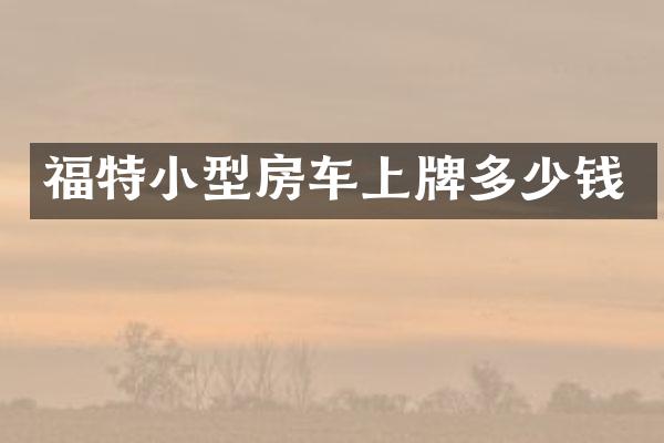 福特小型房车上牌多少钱
