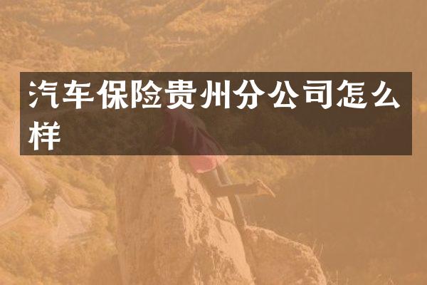 汽车保险贵州分公司怎么样