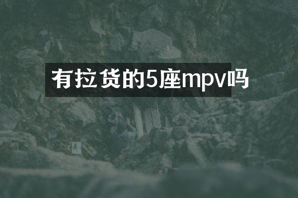 有拉货的5座mpv吗