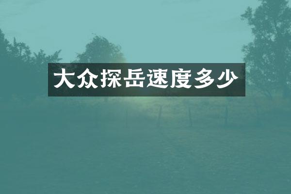 大众探岳速度多少