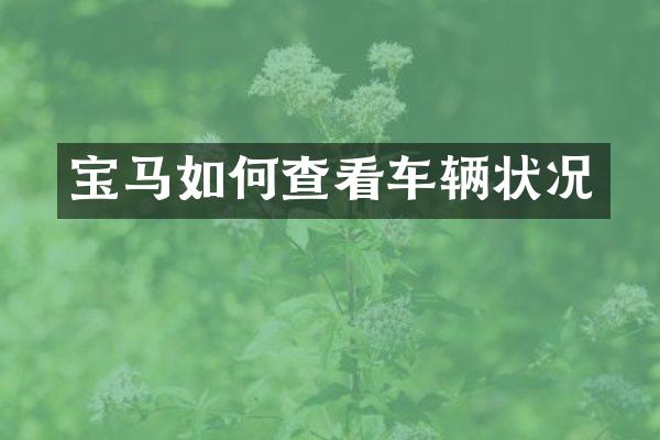 宝马如何查看车辆状况