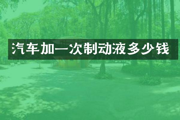 汽车加一次制动液多少钱