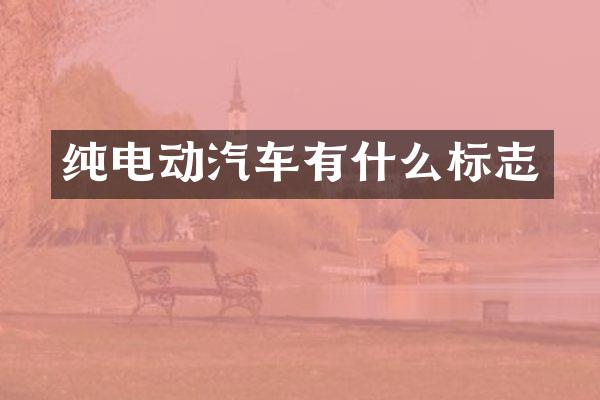 纯电动汽车有什么标志