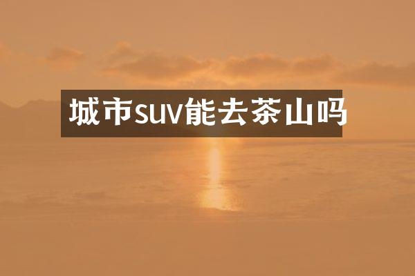 城市suv能去茶山吗