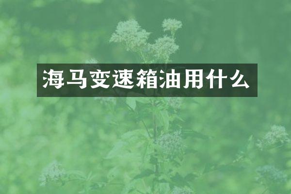 海马变速箱油用什么