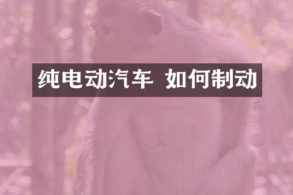 纯电动汽车 如何制动