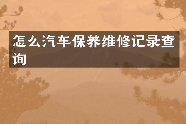 怎么汽车保养维修记录查询