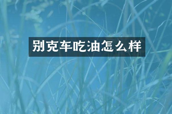 别克车吃油怎么样