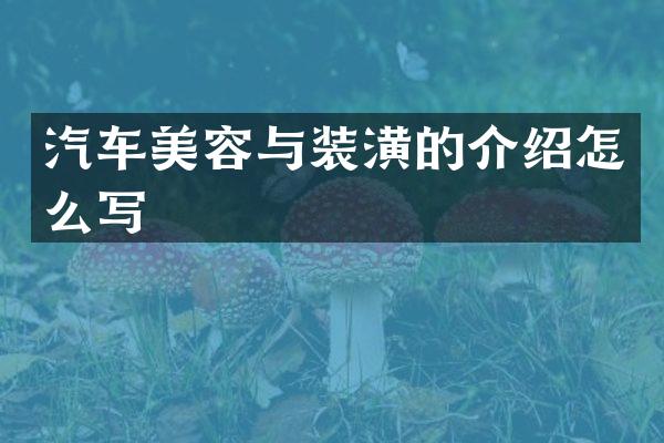 汽车美容与装潢的介绍怎么写