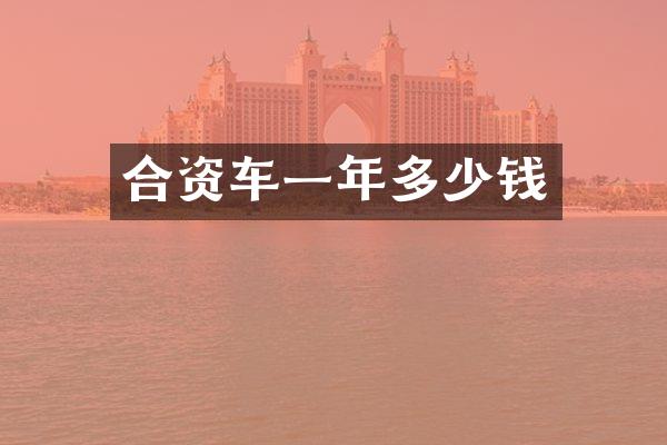 合资车一年多少钱
