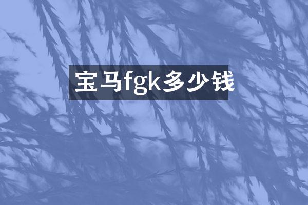 宝马fgk多少钱