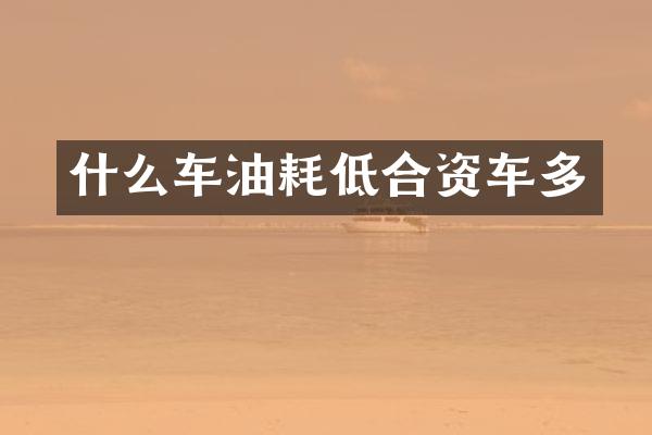 什么车油耗低合资车多