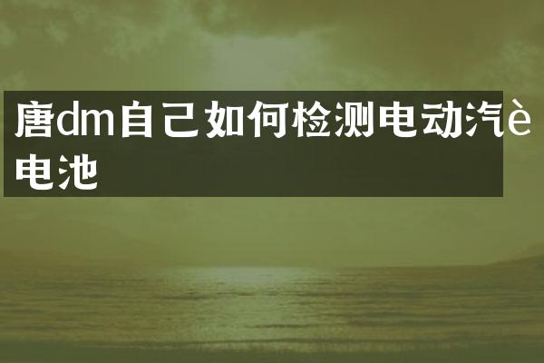 唐dm自己如何检测电动汽车电池