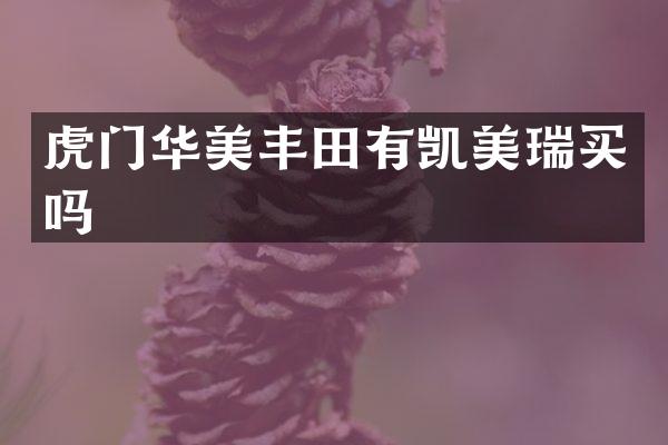 虎门华美丰田有凯美瑞买吗