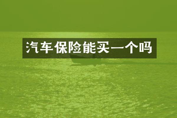 汽车保险能买一个吗