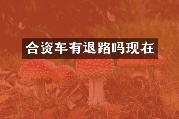 合资车有退路吗现在