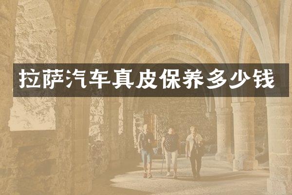 拉萨汽车真皮保养多少钱