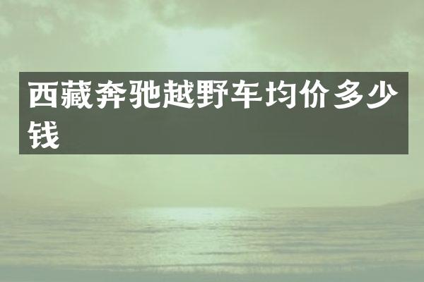 西藏奔驰越野车均价多少钱