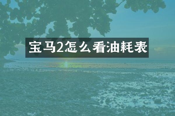 宝马2怎么看油耗表