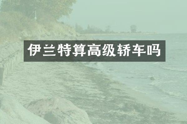 伊兰特算高级轿车吗