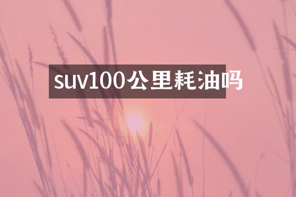 suv100公里耗油吗