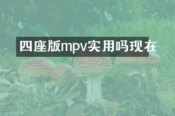 四座版mpv实用吗现在