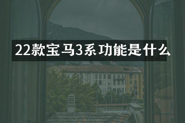 22款宝马3系功能是什么