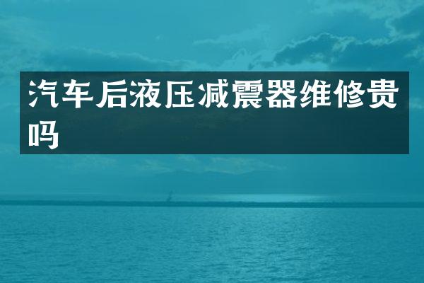 汽车后液压减震器维修贵吗