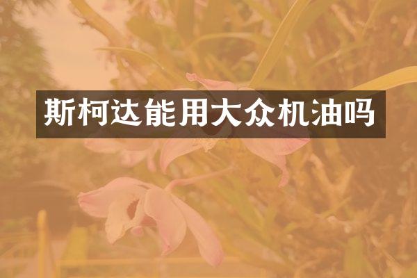 斯柯达能用大众机油吗