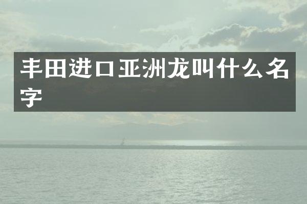 丰田进口亚洲龙叫什么名字