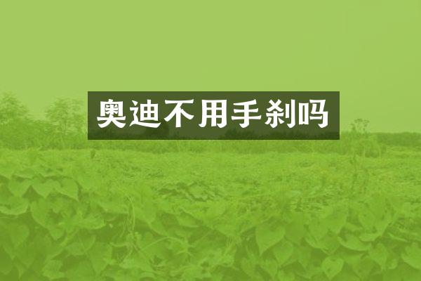 奥迪不用手刹吗