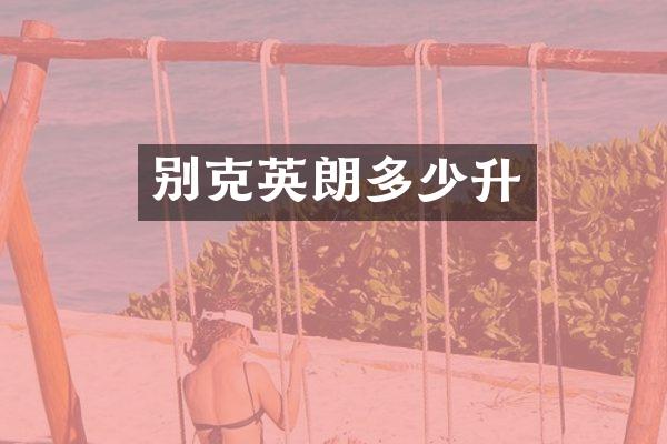 别克英朗多少升