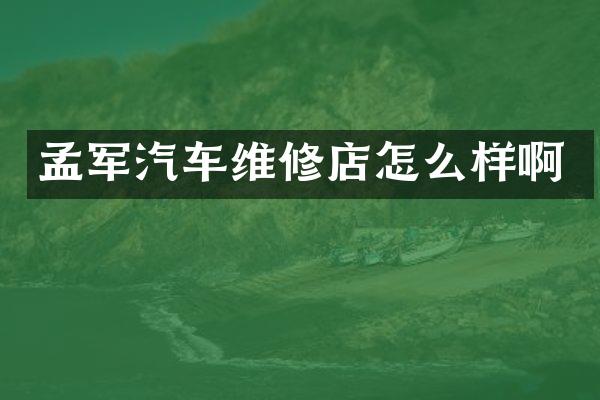 孟军汽车维修店怎么样啊
