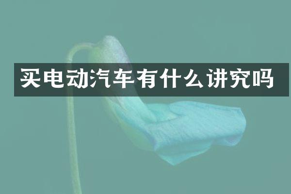 买电动汽车有什么讲究吗