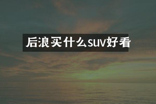 后浪买什么suv好看