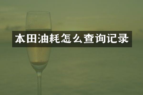 本田油耗怎么查询记录