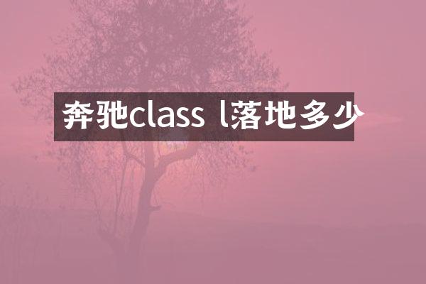 奔驰class l落地多少